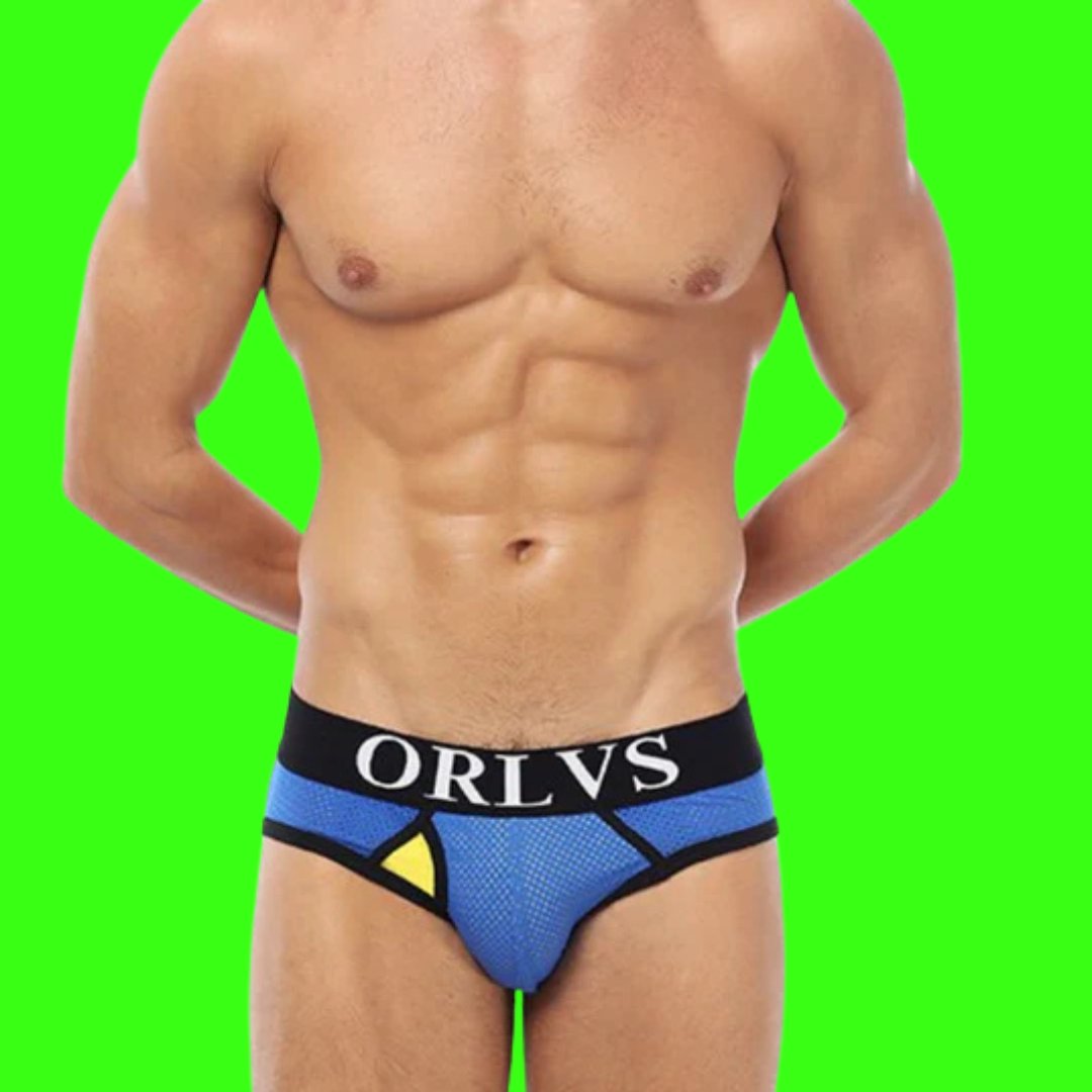 Briefs